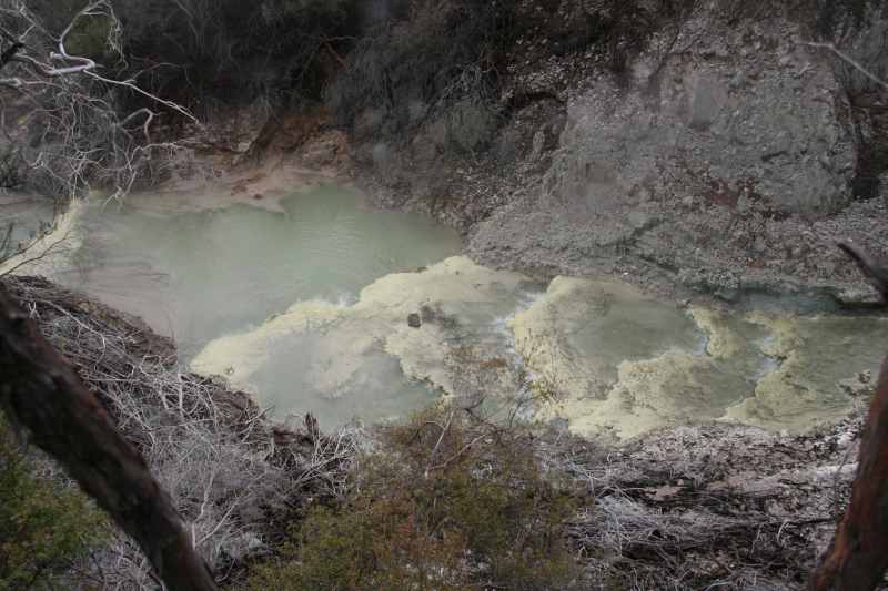 Nieuw-Zeeland 2011 - 0742